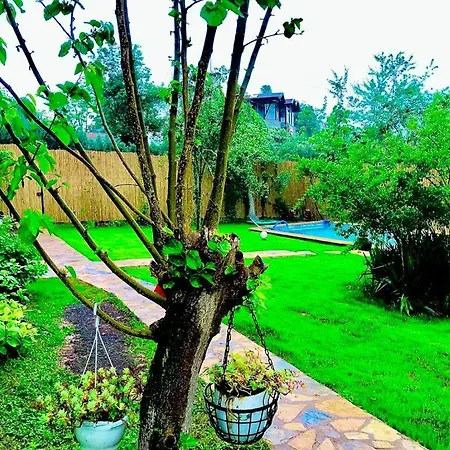 Hotel Asya 4*